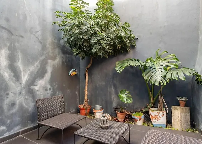 16 Rc - Patio
